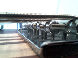 images/bass/11.jpg