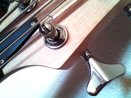 images/bass/3.jpg