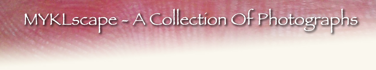 ~A Collection Of Close-Up Photographs by Mykl~