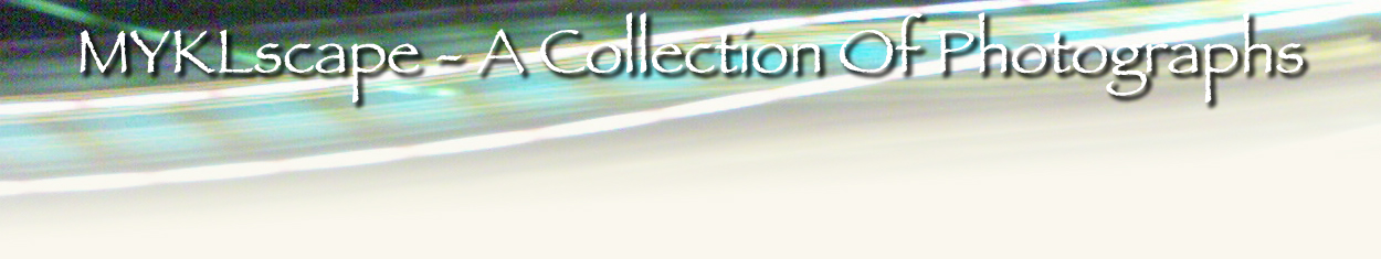 ~A Collection Of Pictures Of Random & Funny Things That Have Caught Mykl's Eye~
