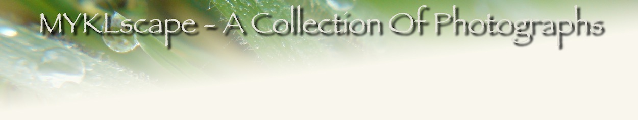 ~A Collection Of Photographs of Scenery & Nature By Mykl~