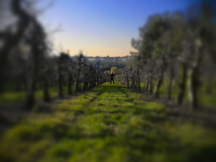 The Watcher ~A Collection Of Digitally Edited Pictures By Mykl~