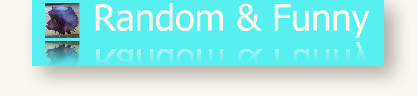 A Collection Of Pictures Of Random & Funny Things That Have Caught Mykl's Eye ~A Collection Of Pictures Of Random & Funny Things That Have Caught Mykl's Eye~